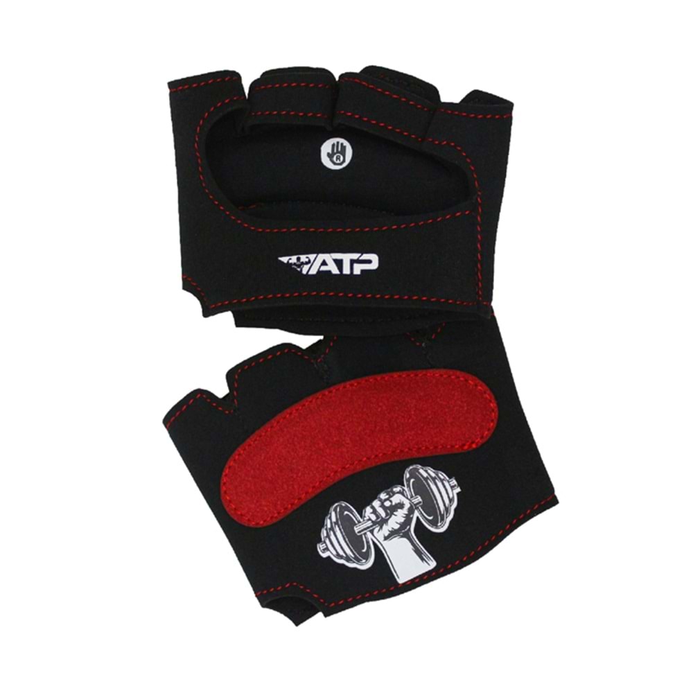 ATP Avuçiçi Eldiven - M