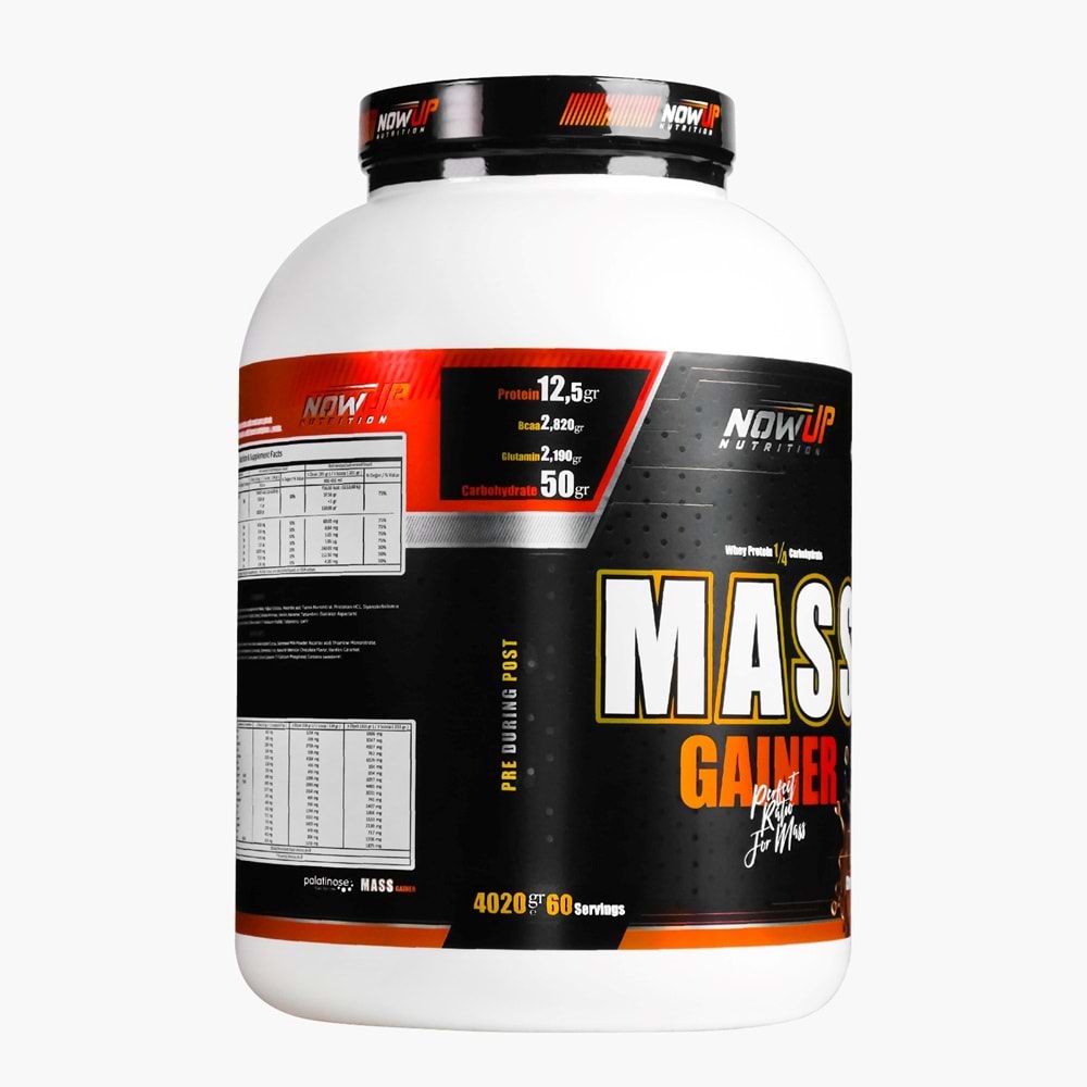 NOW UP Mass Gainer Çikolata Vanilya 4080 GR