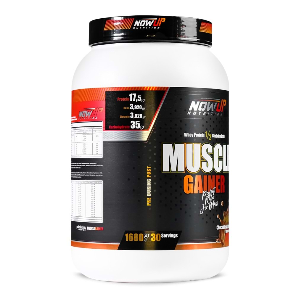 NOW UP Muscle Gainer Çikolata Latte 1740 GR
