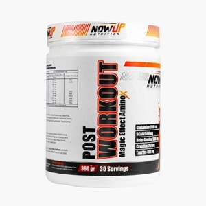 NOW UP Post Workout ÇİLEK 360 G