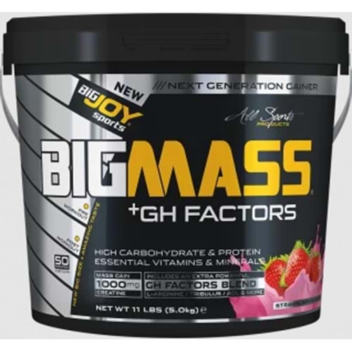 Bigjoy BigMass + Gh Factors 5000 Kg Çilek