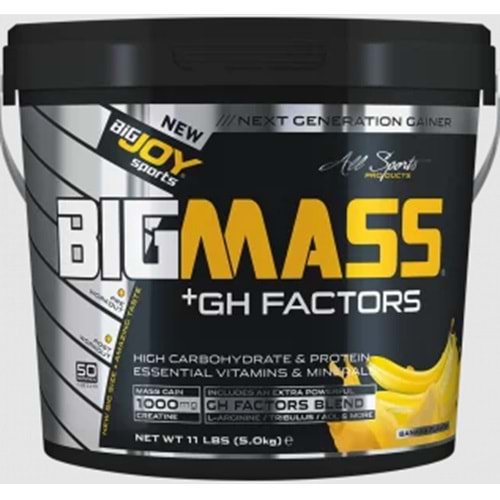 Bigjoy BigMass + Gh Factors 5000 Kg Muz