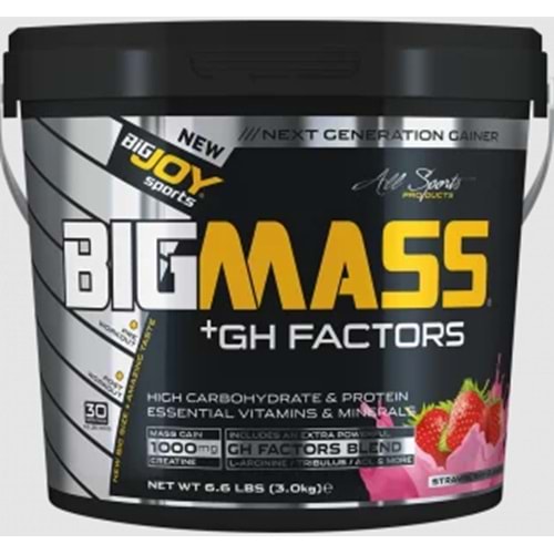 Bigjoy BigMass + Gh Factors 3000 Kg Çilek