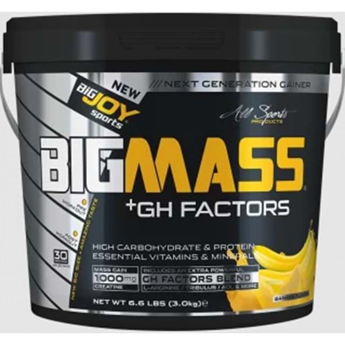 Bigjoy BigMass + Gh Factors 3000 Kg Muz
