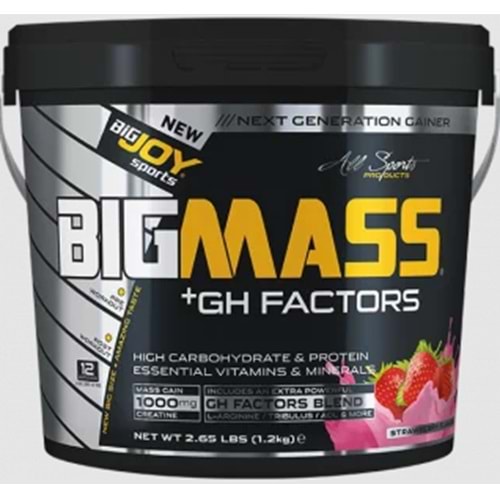 Bigjoy BigMass + Gh Factors 1200 Kg Çilek