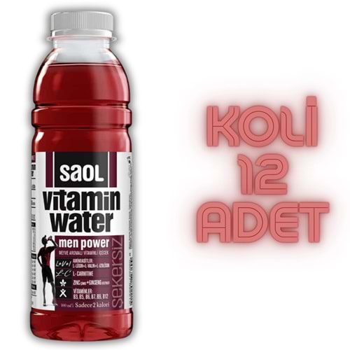 SAOL VİTAMİN WATER MAN POWER Karışık Meyve 500 ML