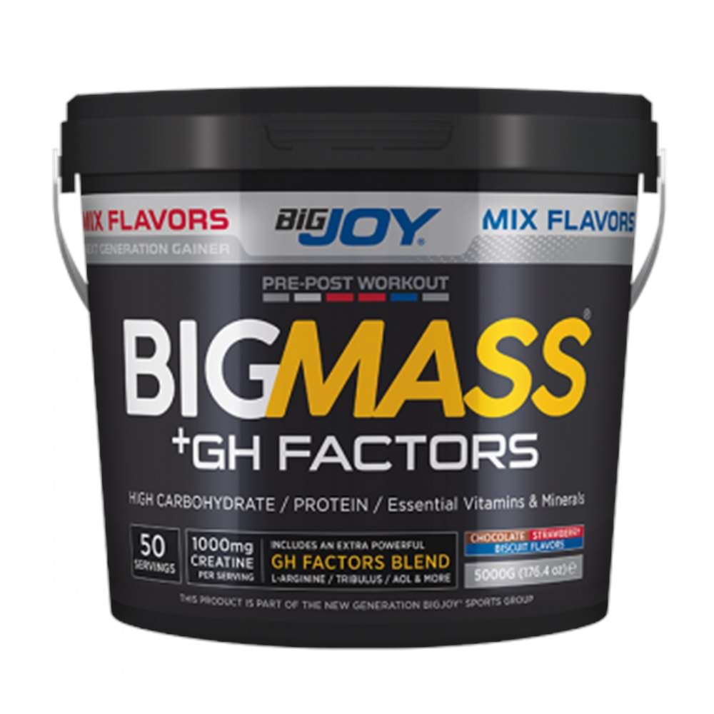 Bigjoy BigMass + Gh Factors 5000 Kg MİX