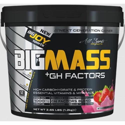 Bigjoy BigMass + Gh Factors 1200 Kg Çilek